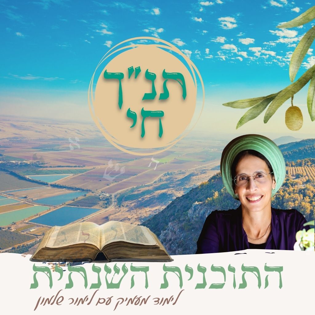 התוכנית השנתית